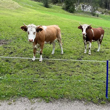 Pensionat Meilerhof 3*