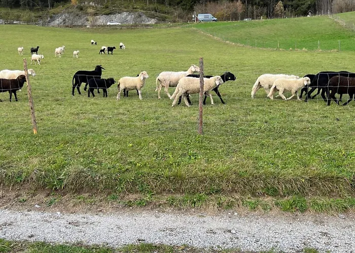 Meilerhof ゲストハウス ライト・バイ・ゼーフェルト