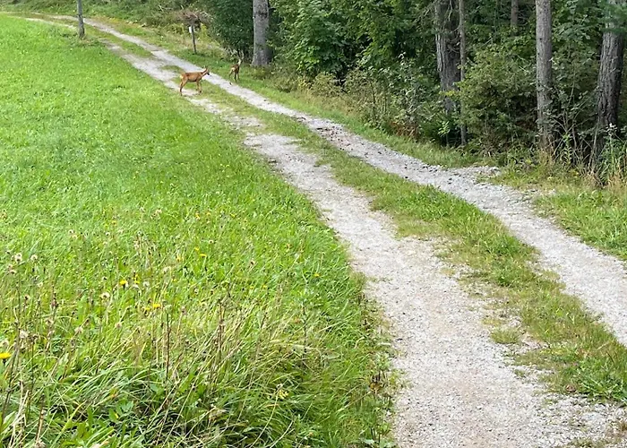 ゲストハウス Meilerhof ライト・バイ・ゼーフェルト