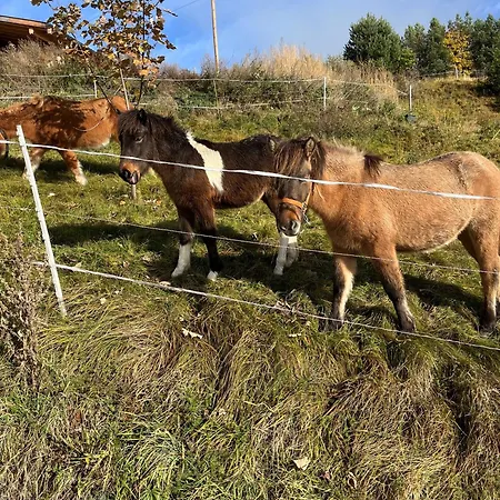Meilerhof Reith bei Seefeld
