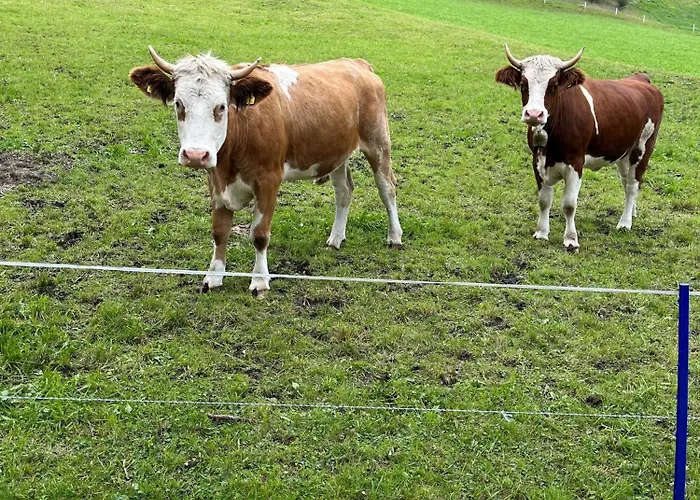 Gasthof Meilerhof 3*