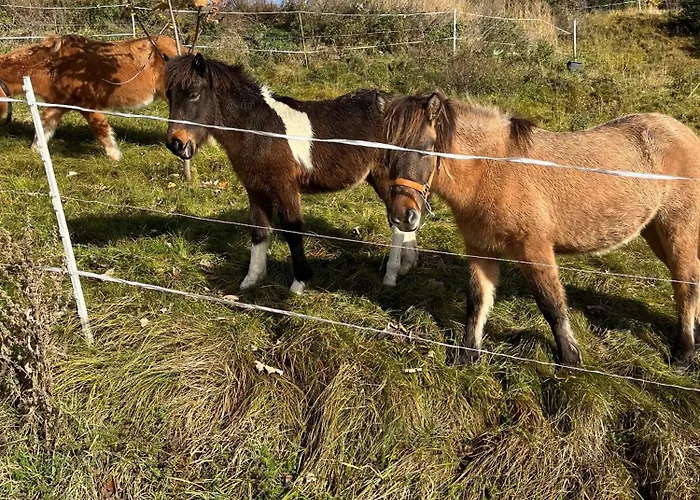 Meilerhof Reith bei Seefeld