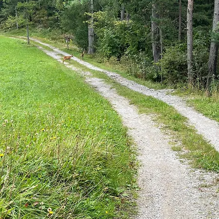 게스트하우스 마일러호프 리스바이제필드