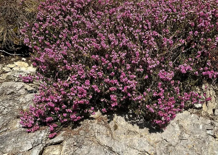 梅勒霍夫酒店 招待所